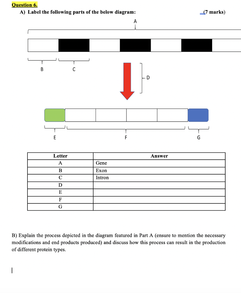 Solved Question 6. A) Label the following parts of the below | Chegg.com