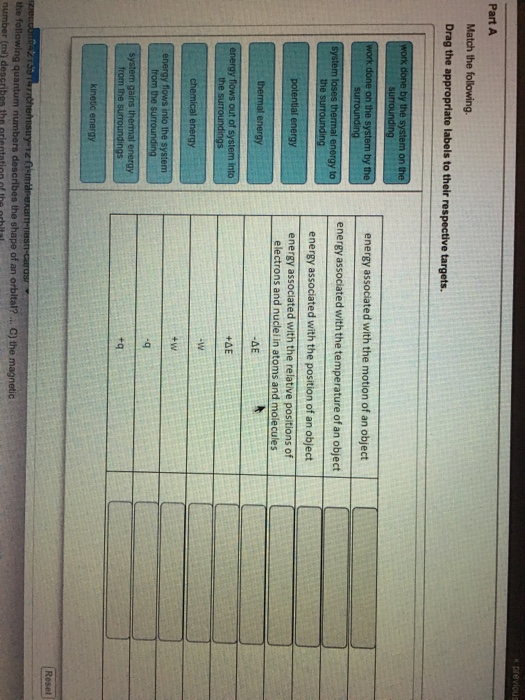 Solved Match the following. Drag the appropriate labels to | Chegg.com
