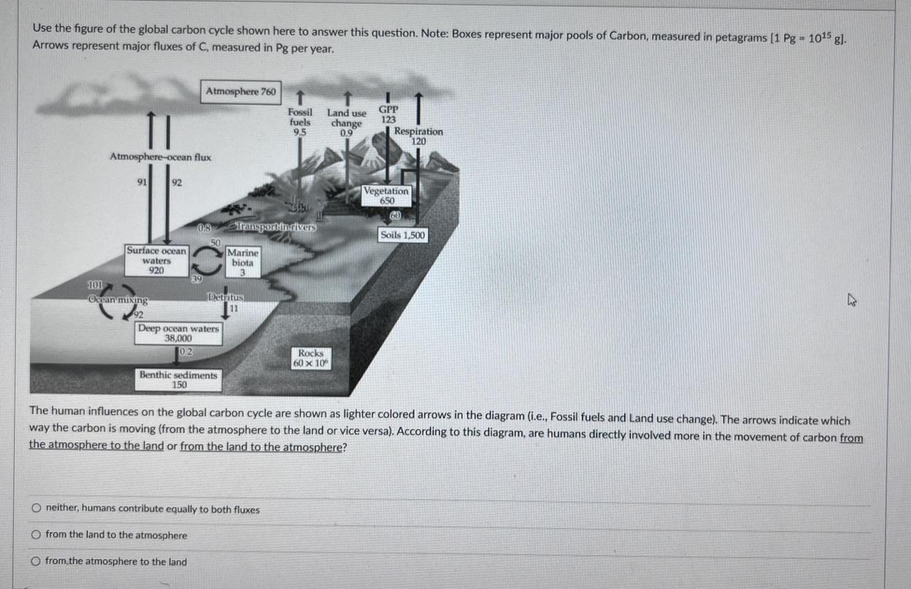 Solved Use the figure of the global carbon cycle shown here | Chegg.com