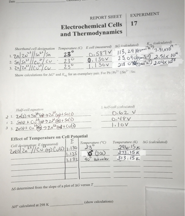 Solved Date REPORT SHEET EXPERIMENT Electrochemical Cells | Chegg.com