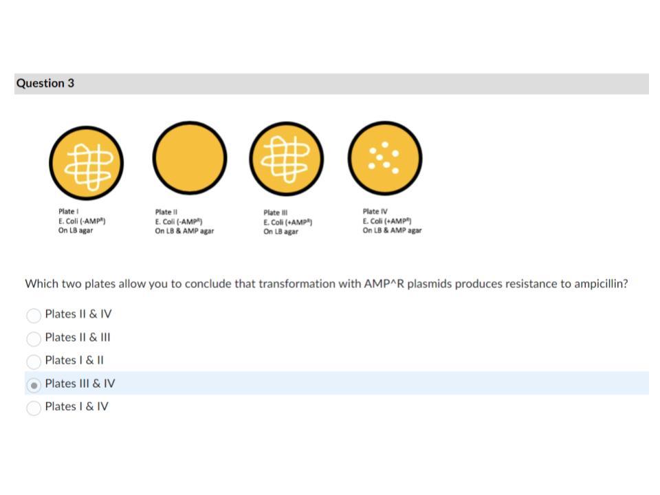 Solved Please answer the following questions. According to | Chegg.com