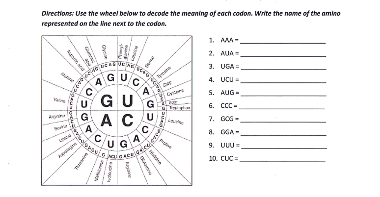 Solved Directions: Use the wheel below to decode the meaning | Chegg.com