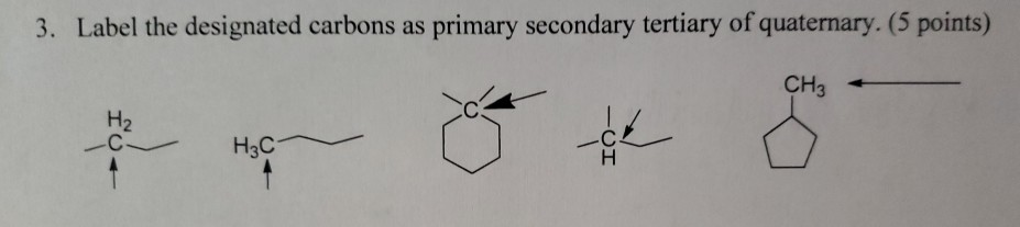 Solved 3. Label the designated carbons as primary secondary | Chegg.com