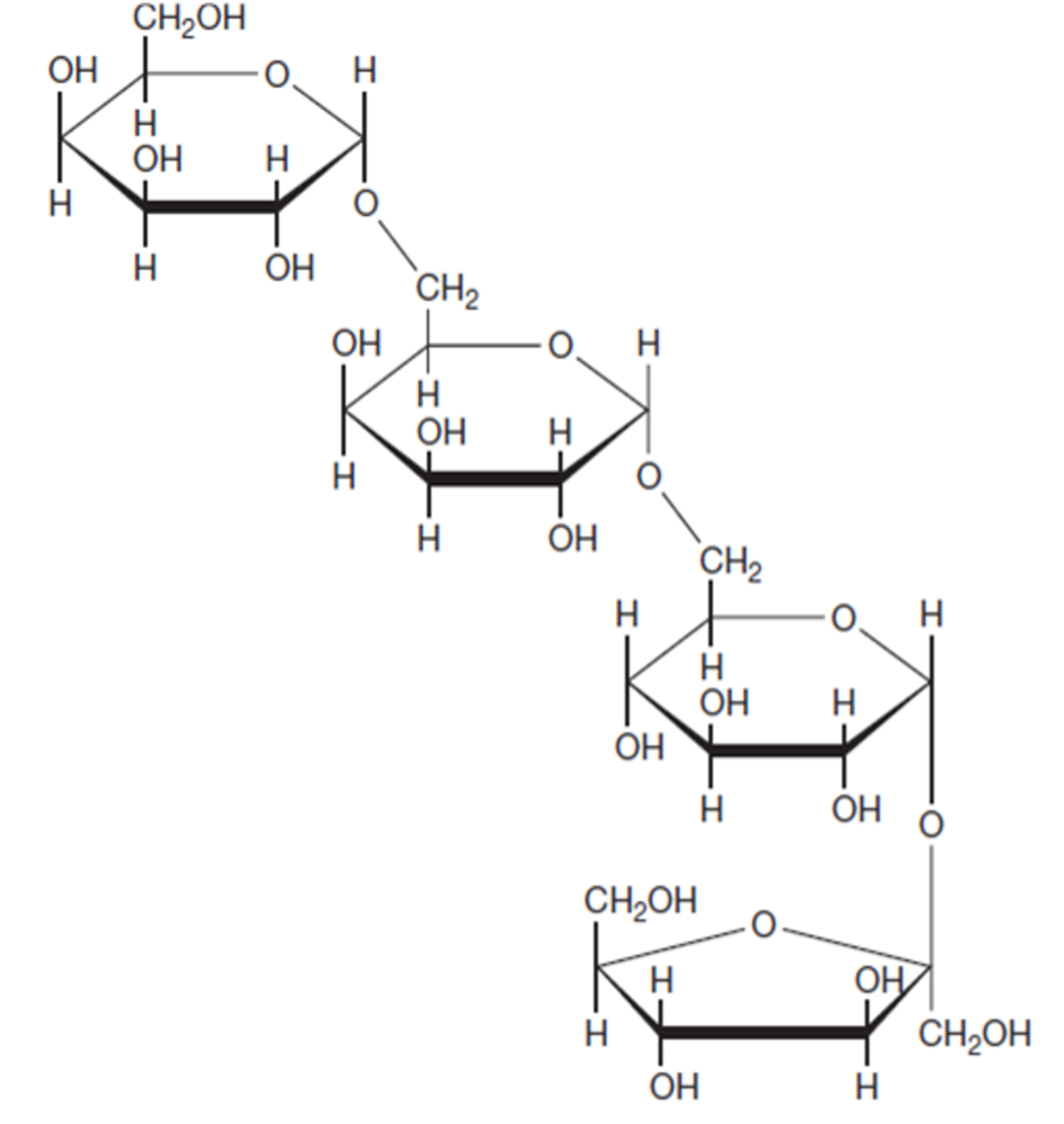 Solved Using the following oligosaccharides, practice | Chegg.com