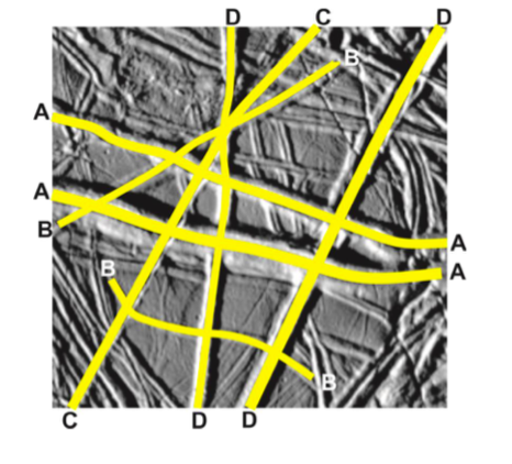 Solved D С ANSWER Youngest A Oldest A B A A C D D D с D A | Chegg.com