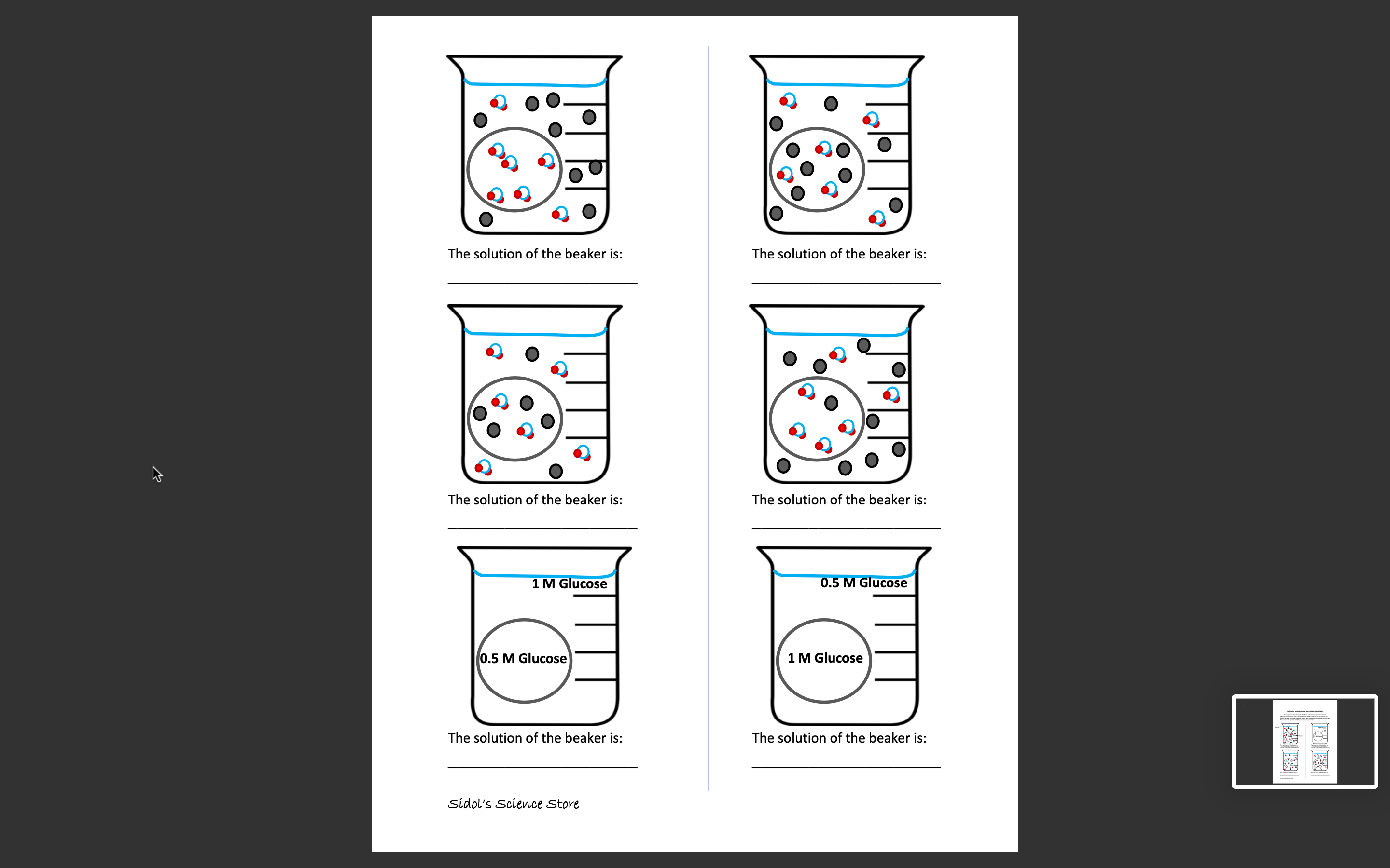 Solved Diffusion and Osmosis Worksheet (Modified)The images | Chegg.com