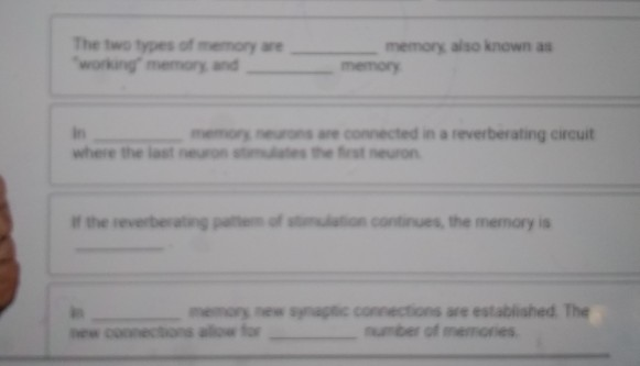 The two types of memory are working memory and memory | Chegg.com