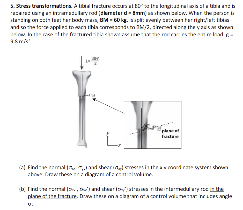 5. Stress transformations. A tibial fracture occurs | Chegg.com