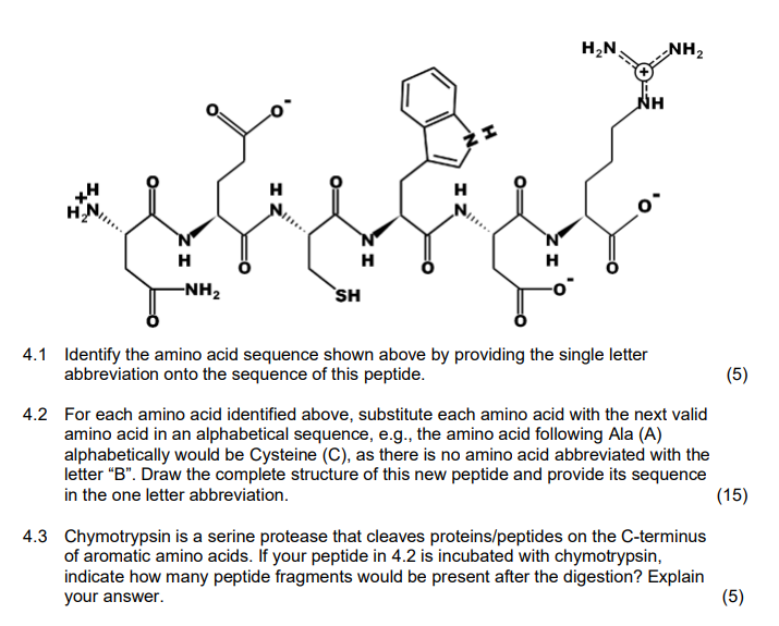 Solved HAN -NH2 NH H N H H -NH2 SH (5) 4.1 Identify the | Chegg.com