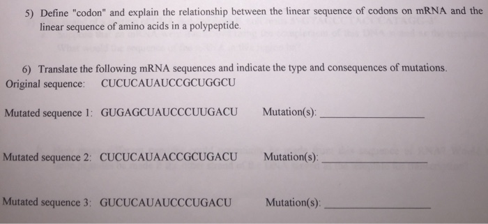 Solved linear sequence of amino acids in a polypeptide. 6) | Chegg.com