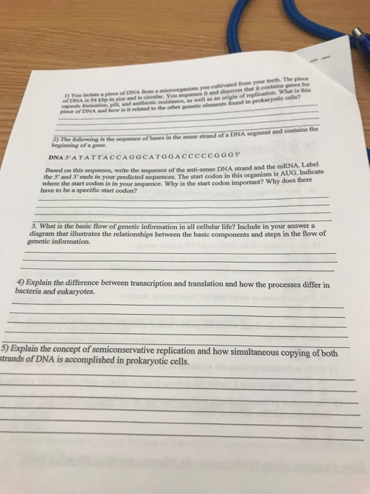 Solved Pons ach) 1. How are plasmids different than