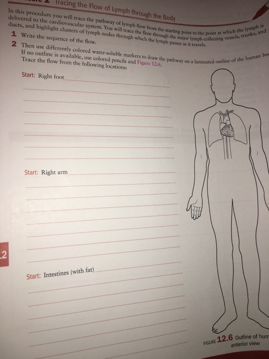 Solved Flow of lymph through body | Chegg.com