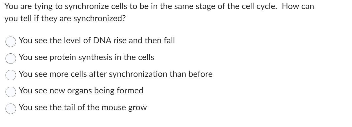 Solved You are tying to synchronize cells to be in the same Biology Diagrams
