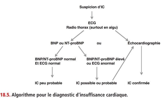 232 Insuffisance Cardiaque De L Adulte Flashcards Chegg Com