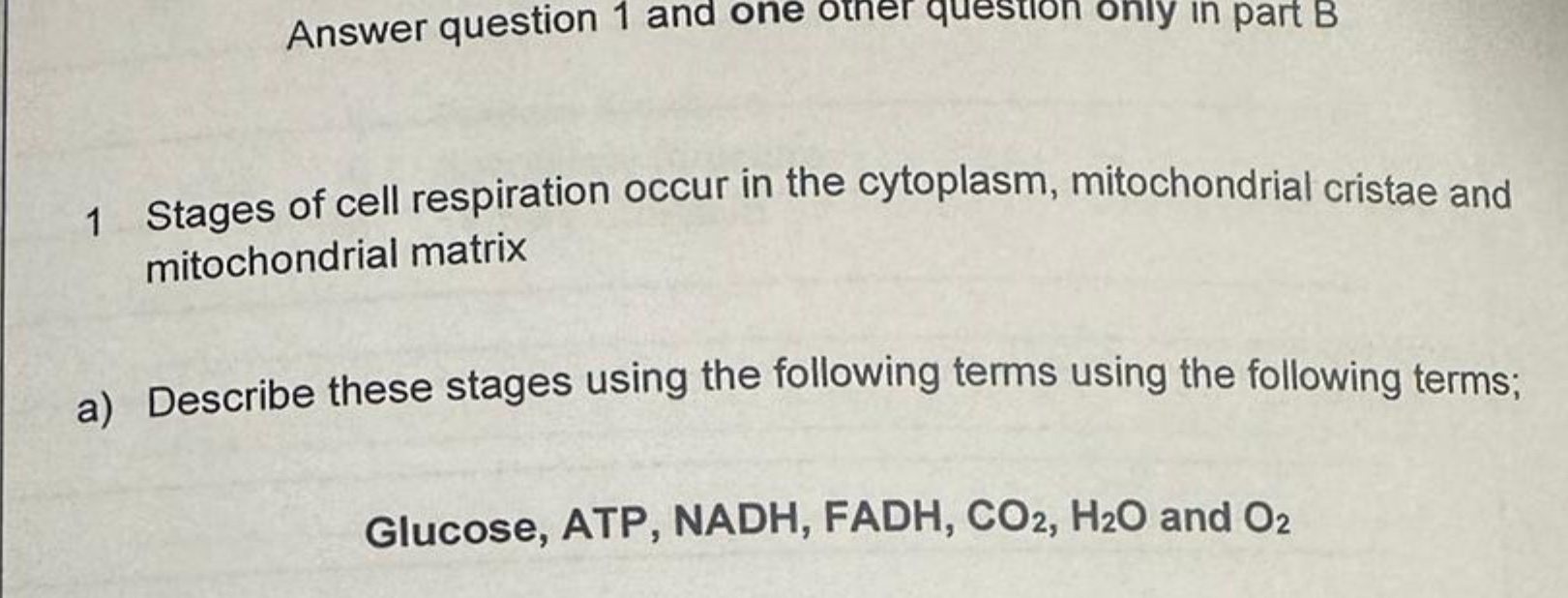 Solved 1 ﻿Stages of cell respiration occur in the cytoplasm, | Chegg.com