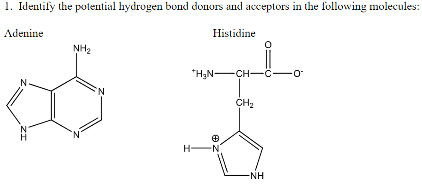 Solved 1. Identify The Potential Hydrogen Bond Donors And | Chegg.com