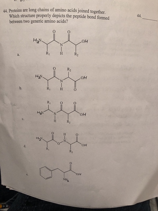 Solved Which structure properly depicts the peptide bond