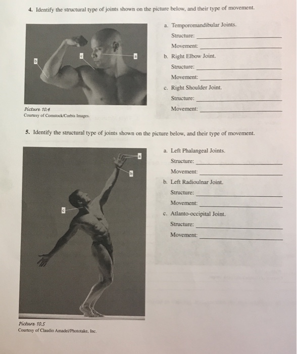 Solved 4. Identify the structural type of joints shown on | Chegg.com