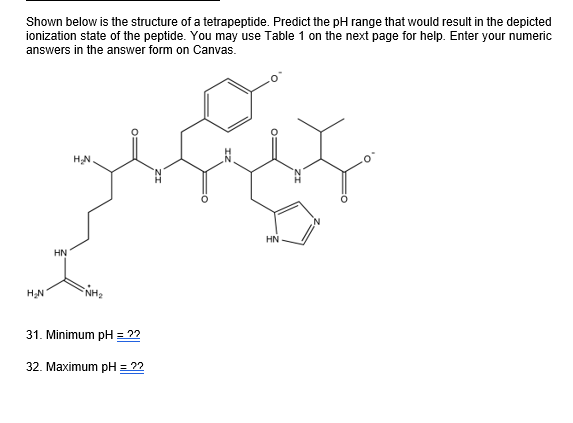 Solved Shown below is the structure of a tetrapeptide. | Chegg.com