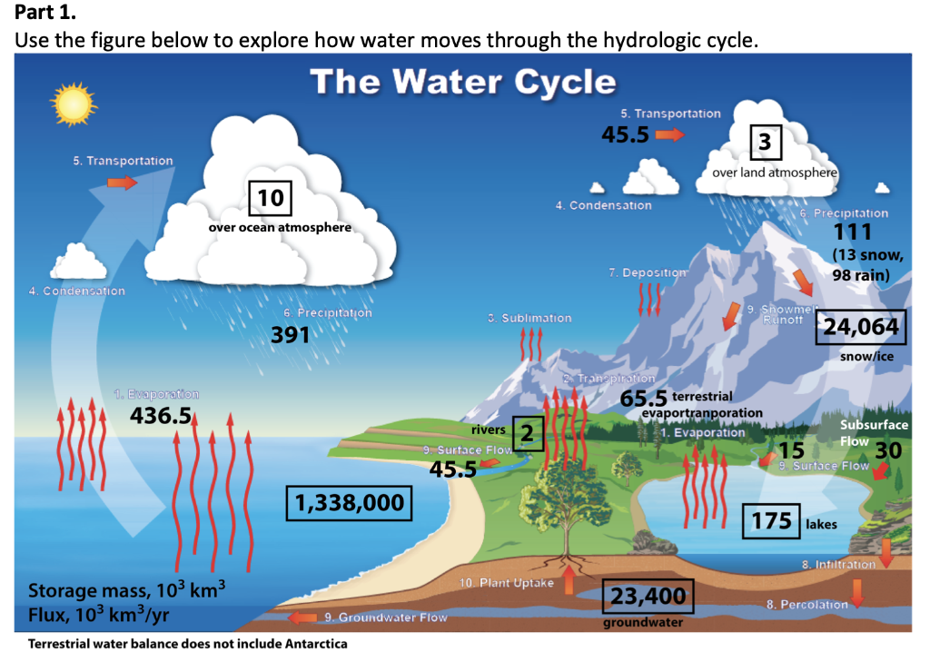 Solved Part 1. Use the figure below to explore how water | Chegg.com