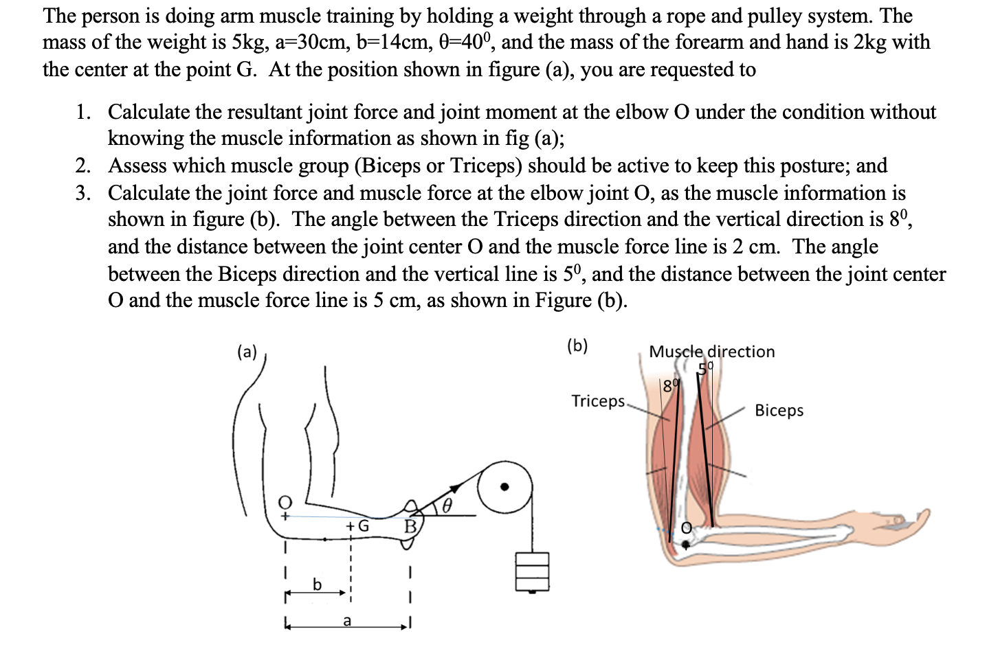 Solved The Person Is Doing Arm Muscle Training By Holding A 