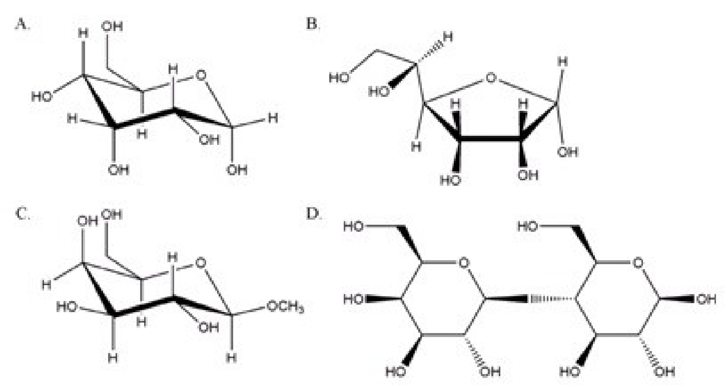 Solved B 1 | Chegg.com