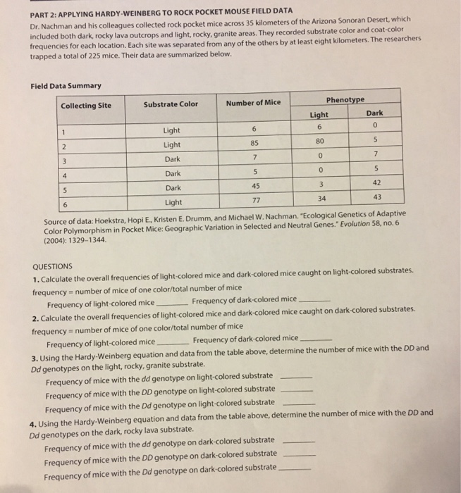 solved-part-2-applying-hardy-weinberg-to-rock-pocket-mouse-chegg
