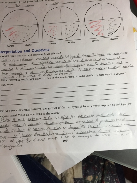 Solved Which time was the most effective? Least effective? | Chegg.com