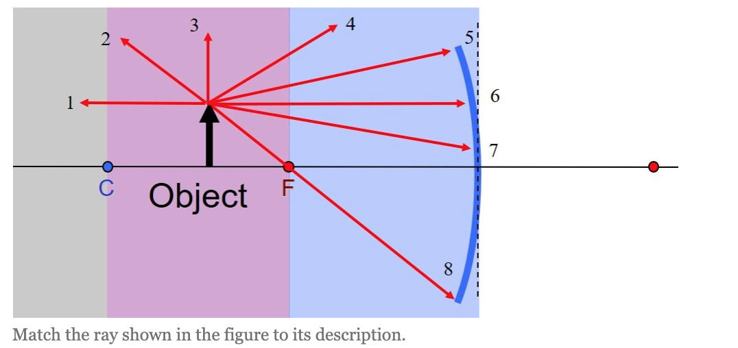 Solved Ray 6 __Ray 8 __Ray 2 __Ray 4 __ (1) F ray (2) C ray | Chegg.com