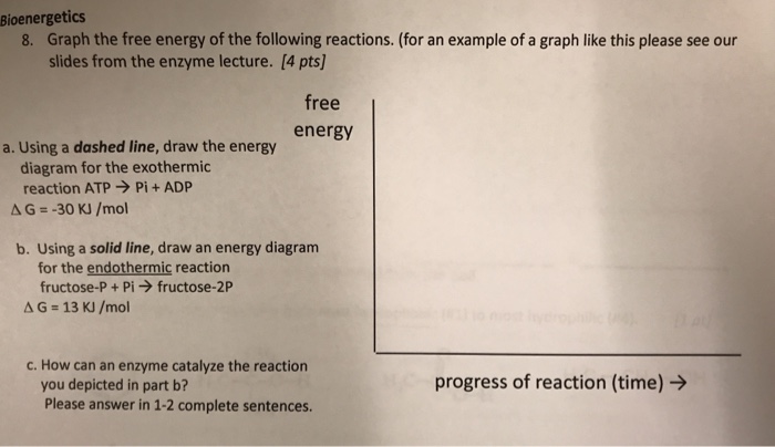 Solved Bioenergetics Graph the free energy of the following | Chegg.com