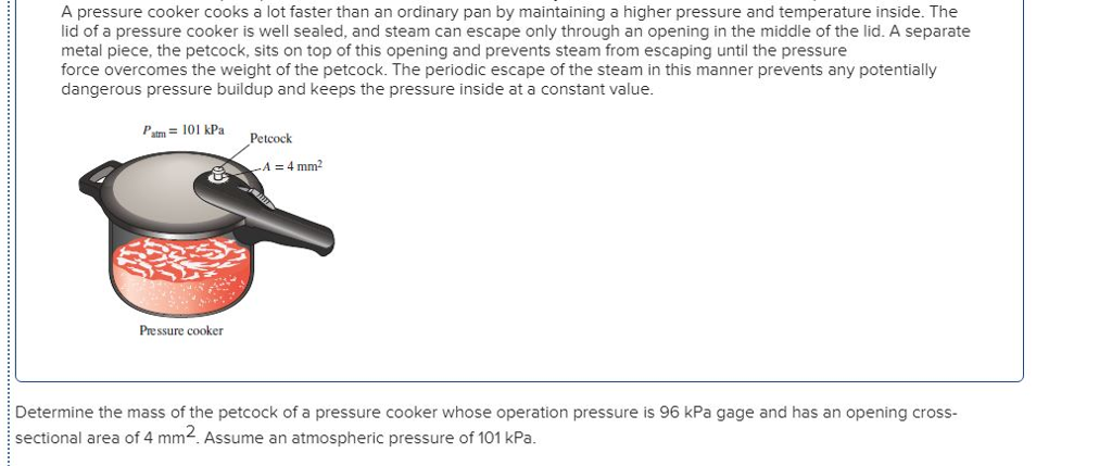 what cooks well in a pressure cooker