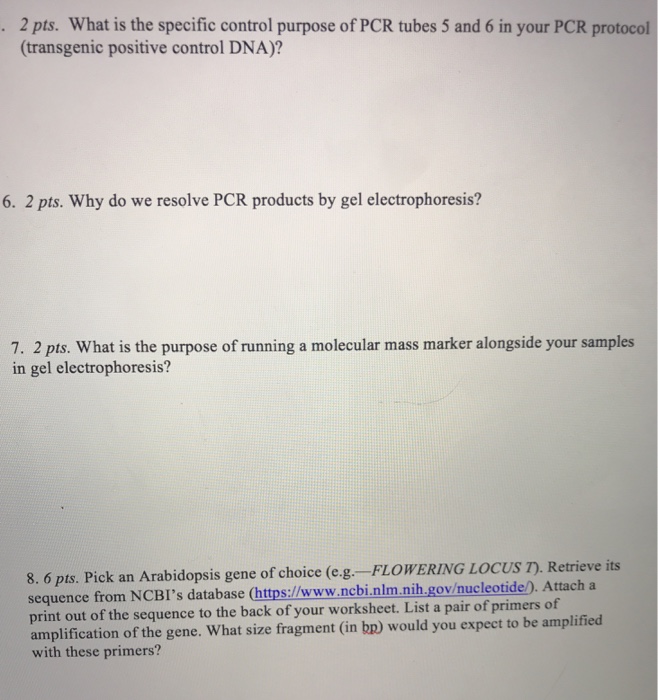Solved 2 Pts What Is The Specific Control Purpose Of PCR Chegg