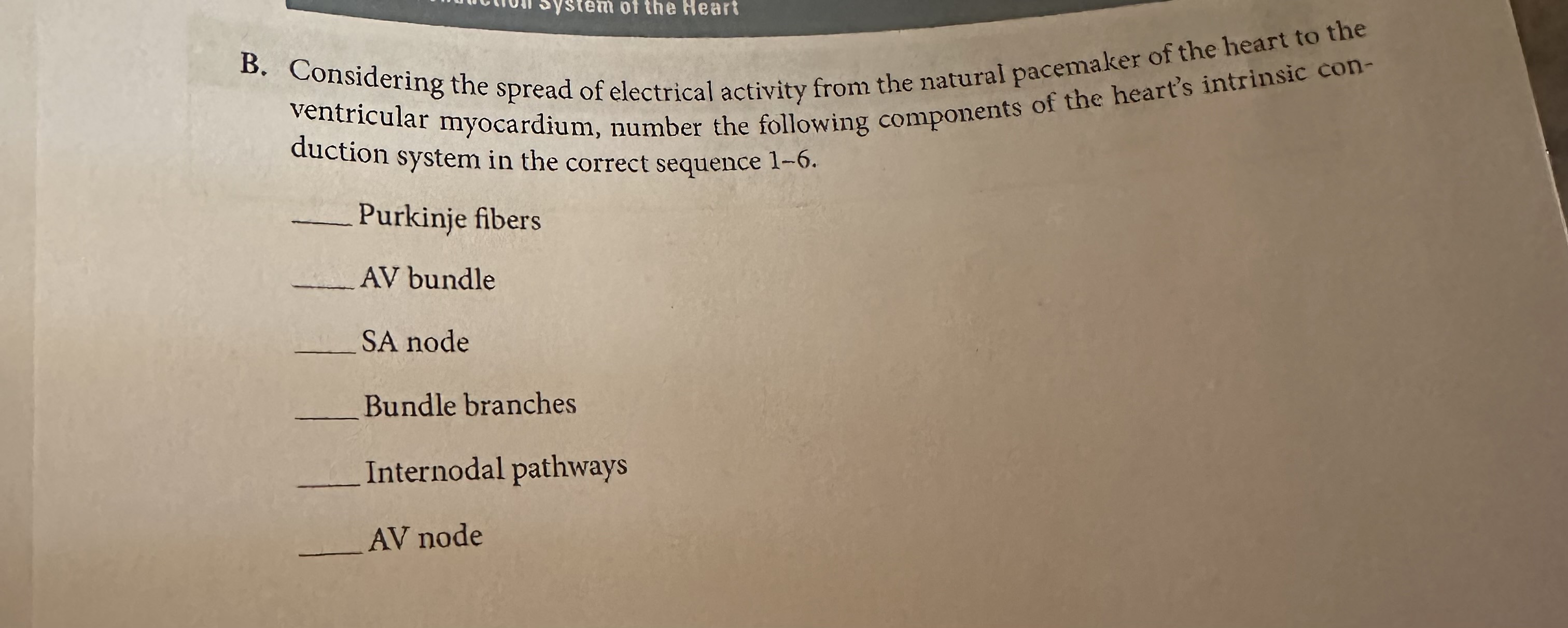 Solved B. ﻿Considering the spread of electrical activity | Chegg.com