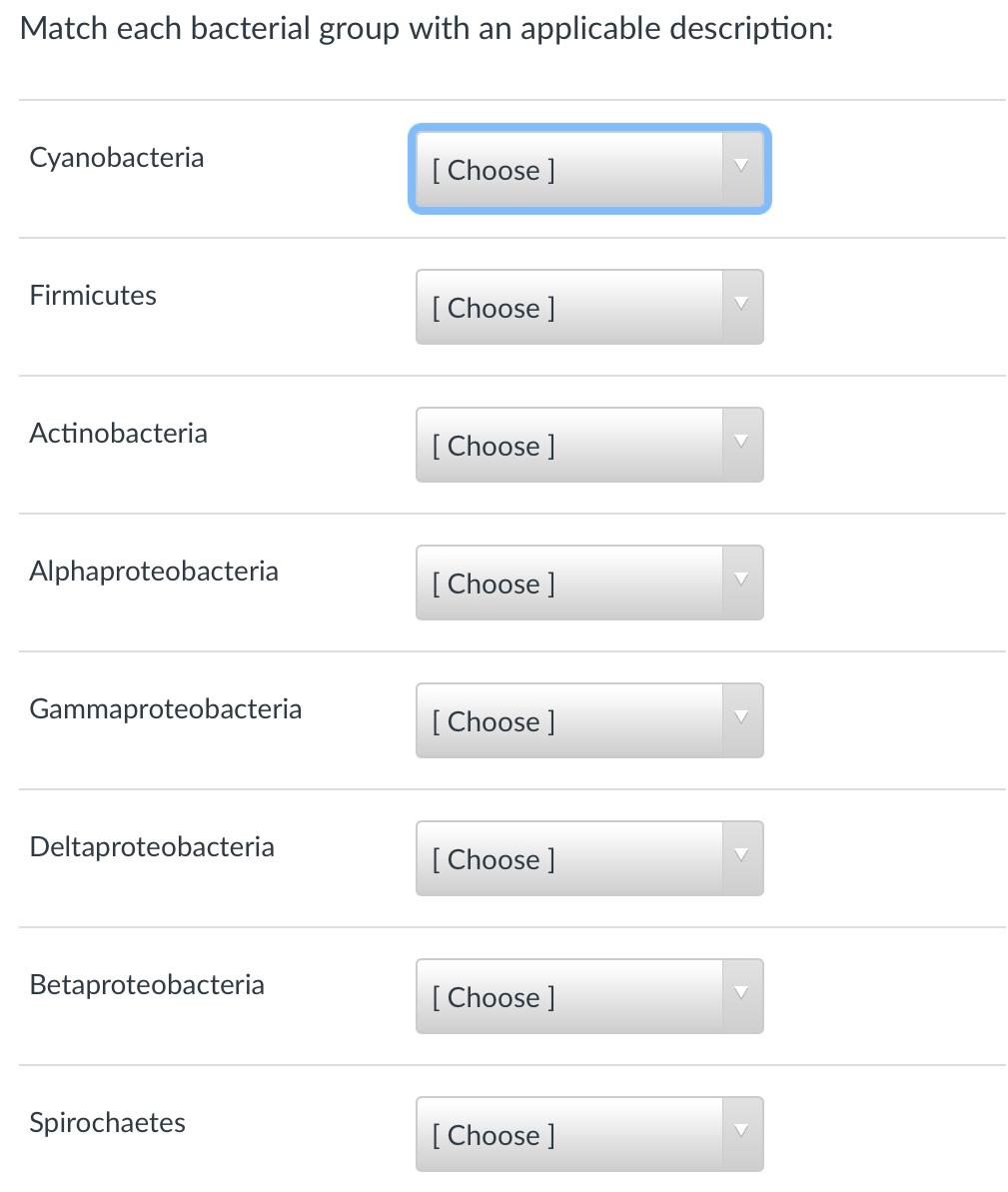 solved-match-each-bacterial-group-with-an-applicable-chegg