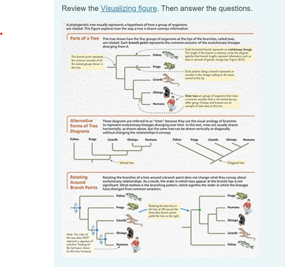 likeawizard's Blog • Review of different board representations in