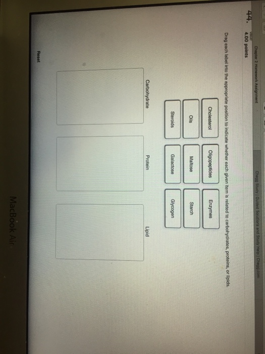 Solved Drag Each Label Into The Appropriate Position To Chegg Com