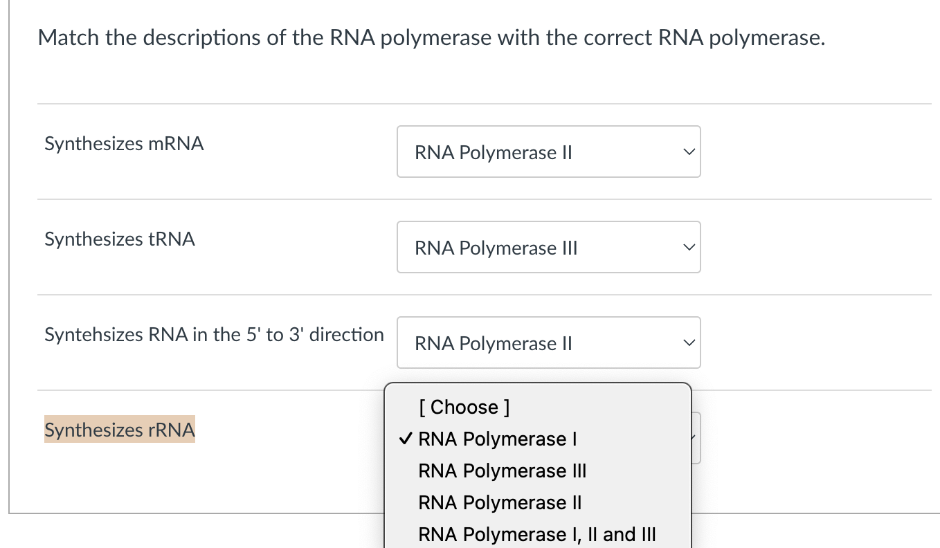 Solved Match The Descriptions Of The RNA Polymerase With The | Chegg.com