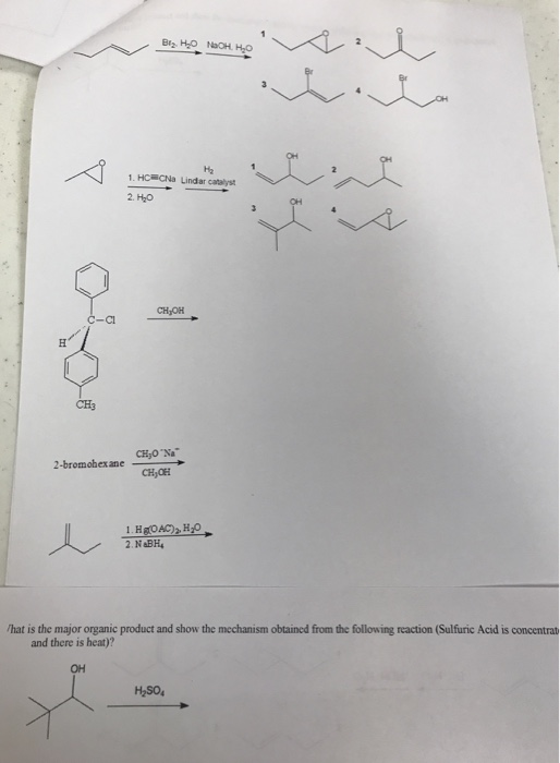 Solved Provide a neatly drawn mechanism for the following | Chegg.com