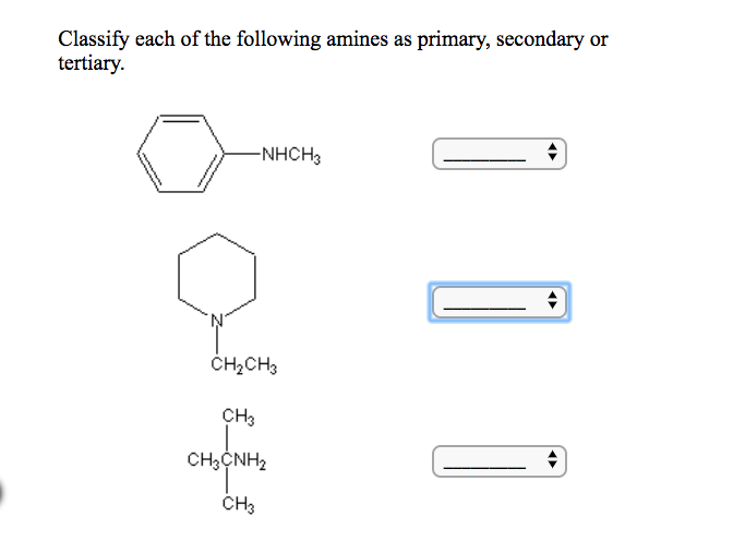 Solved Classify Each Of The Following Amines As (1) Primary, | Chegg.com