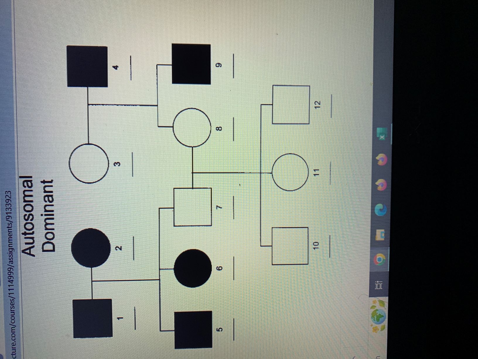 Solved Part B. Write the genotype for each individual person | Chegg.com