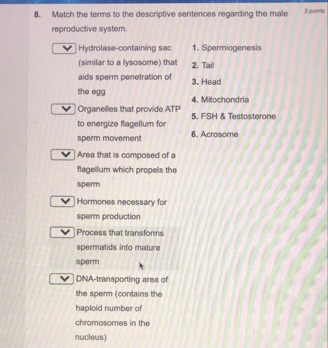 8 3 Points Match The Terms To The Descriptive Chegg Com