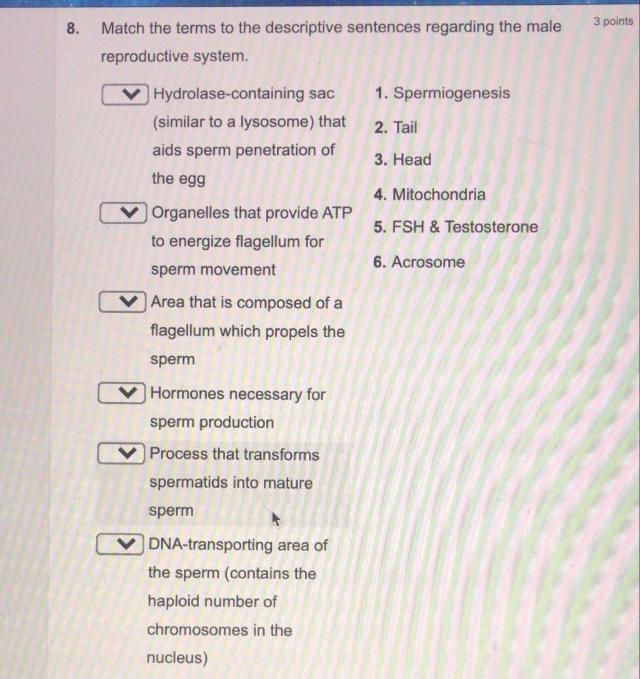 8 3 Points Match The Terms To The Descriptive Chegg Com