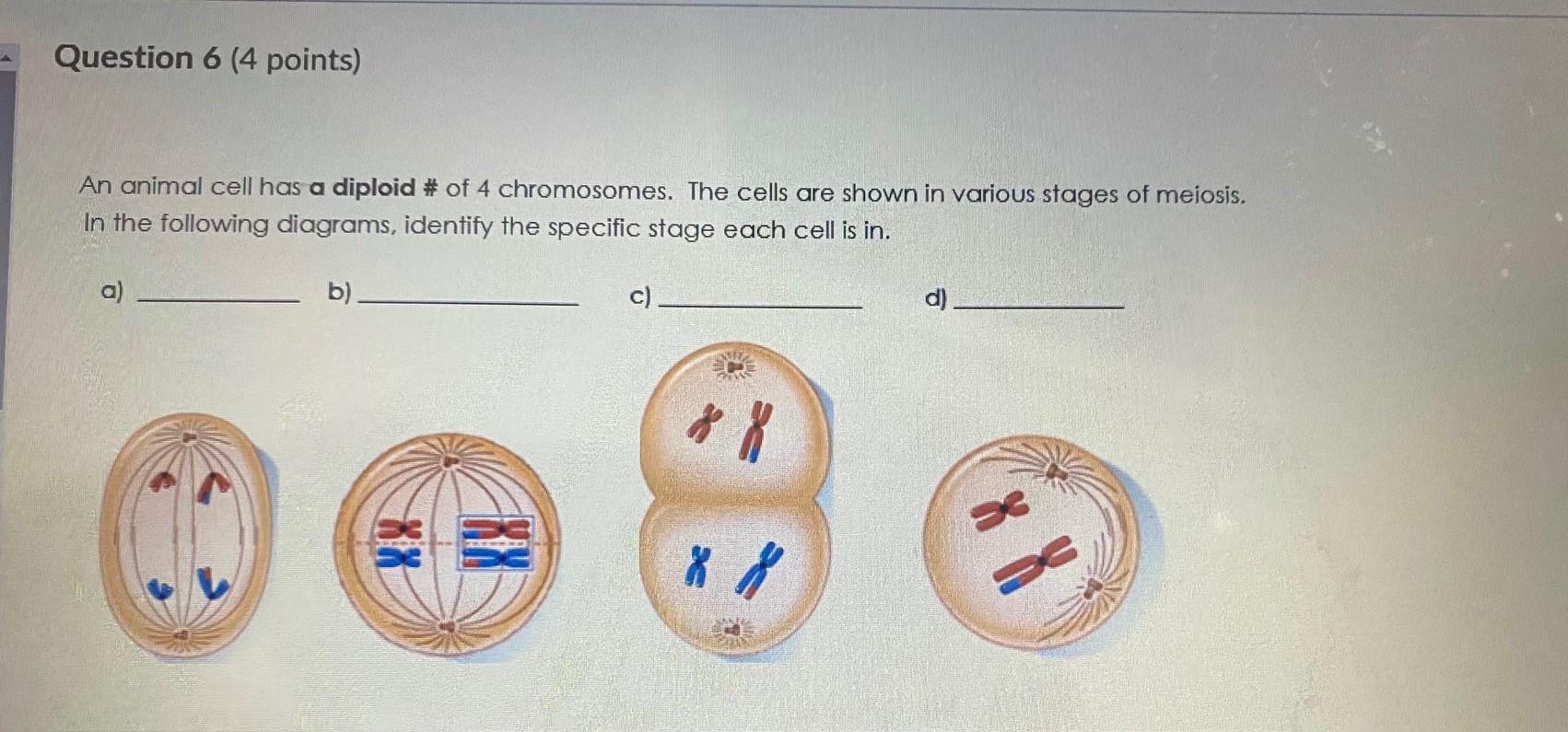 Solved Question 6 (4 points) An animal cell has a diploid # 