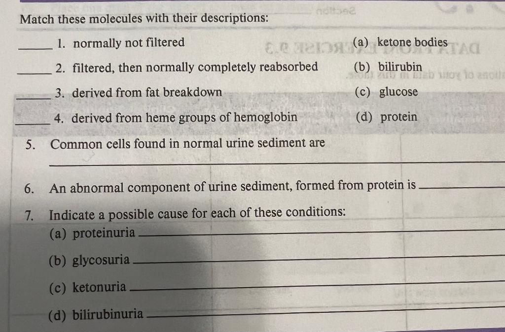 Solved Match these molecules with their descriptions: 1. | Chegg.com