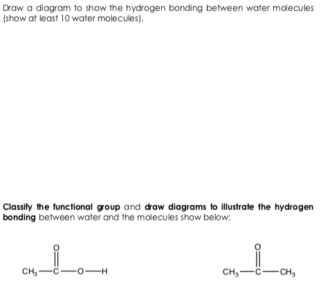 Solved Draw a diagram to show the hydrogen bonding between | Chegg.com