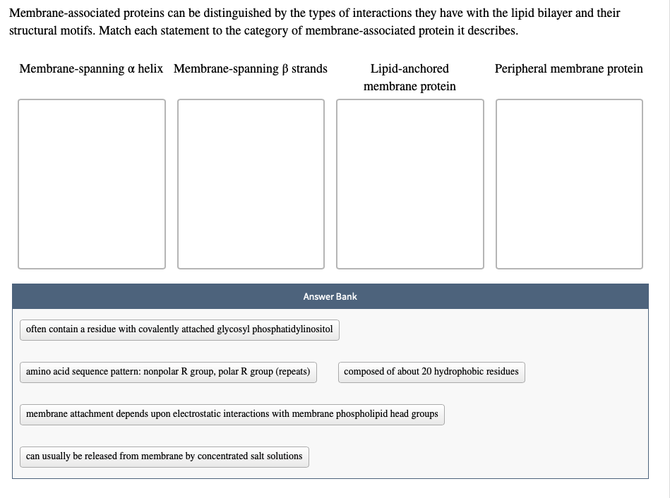 solved-membrane-associated-proteins-can-be-distinguished-by-chegg