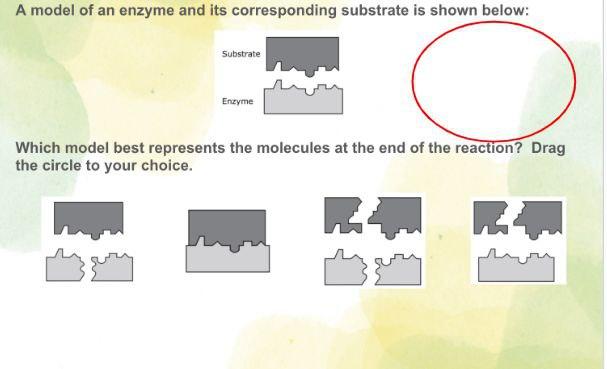 Solved Hello, i have posted this question many times in | Chegg.com