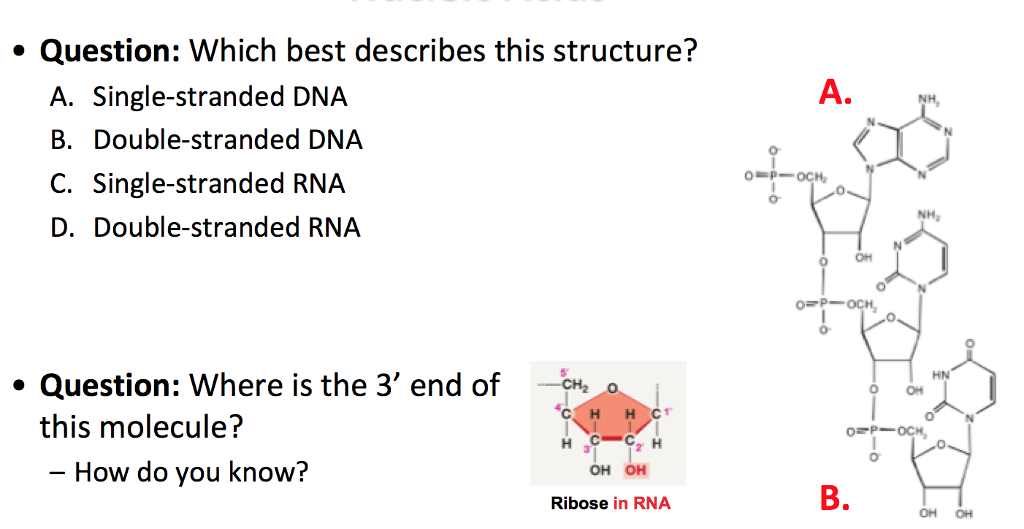 Solved Question Which best describes this structure? A.