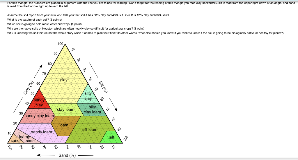 Solved For This Triangle The Numbers Are Placed In Chegg Com