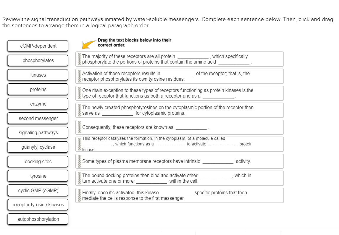 Solved Review the signal transduction pathways initiated